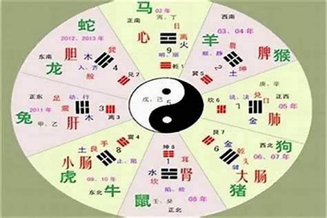 彤的五行|彤字的五行属性